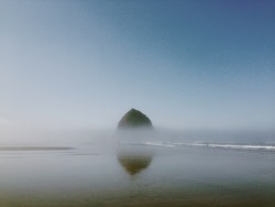 allthetreesofthefield:  Cannon Beach, You’re