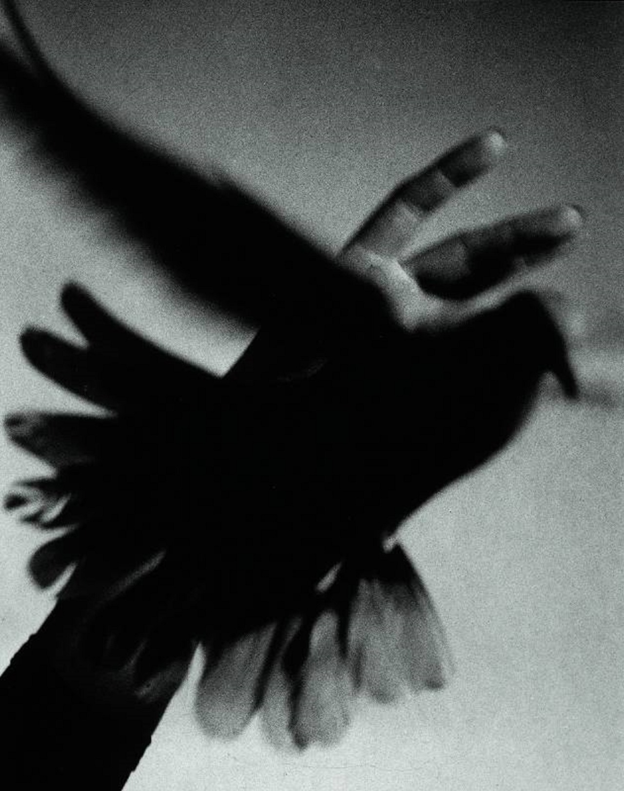 silenceforthesoul:  Pierre Jahan (1909-2003) - Envol d’une colombe, 1948