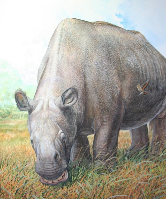 New Research: Study Sheds Light on Mammal Group that Puzzled Darwin