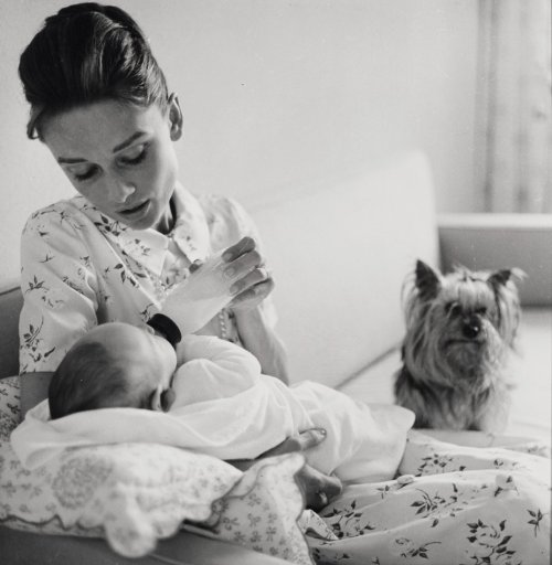 timelessaudrey:  Audrey, Sean and Mr. Famous photographed by Richard Avedon,1960 
