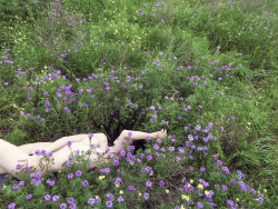 jordanlehn:  I’d put you first - Just close your eyes and dream about it  I felt in heaven today laying in this field of flowers.  