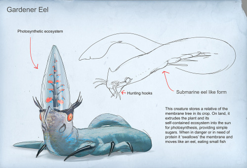 An Unused Critter For Below Zero: A Worm With A Garden In Its Mouth!