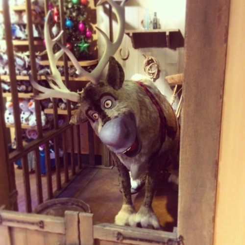 The Oxford Street Disney Store in London has a life sized furry Sven. I think I’m in love! (Th