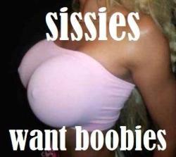 sissydebbiejo:  Sissies want boobies. #Bimbo  Yes yes o yes we do