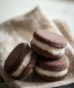 fuckyeahveganlife:  raw thin mint patties