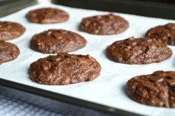 bakeddd:  double chocolate brownie cookies