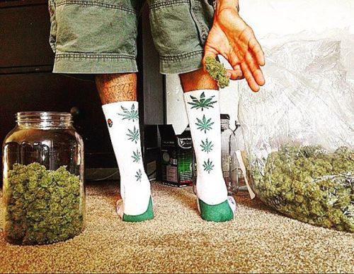 @sire325 showing off some LOUD in his #smokeysocks #chronic #weed #weedsocks #nug #nugs #trees #gree