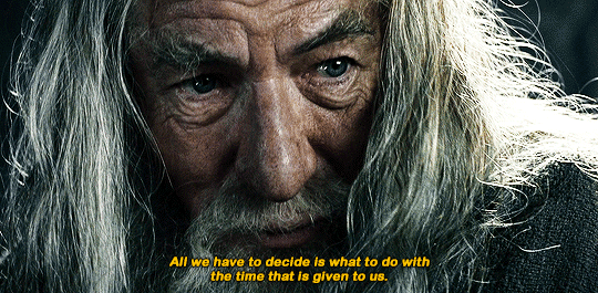 stevensrogers:The Lord of the Rings: The Fellowship of the Ring (2001) dir. Peter