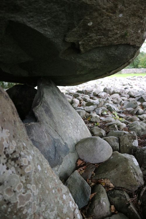 Dyffryn Prehistoric Burial Chambers, Dyffryn Ardudwy, North Wales, 28.8.18Two prehistoric communal b