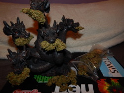 the-stoned-drox:  My master has this same