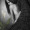 sweetangelofmercy1970-deactivat: