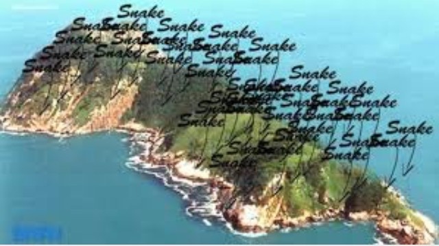 Ilha Da Queimada Grande Snake Island Is A