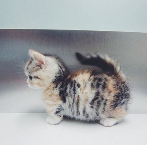 imgfave:  Posted by bubble