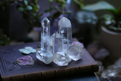 citrinecoven:  90377:  Most of my beautiful clear quartz points together.tumblr | Instagram | Etsy Shop    ✨🌿💎🌿✨ 