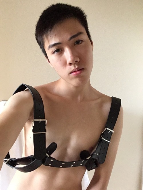 slightlyfatdragon:  i’m a kinky boy