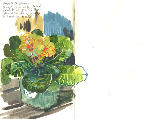 Some Pages From My Gardening Sketchbook.