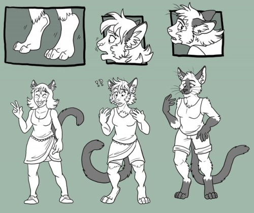 awierdfurry:Catgirl to anthro cat TF by SilverClaw1