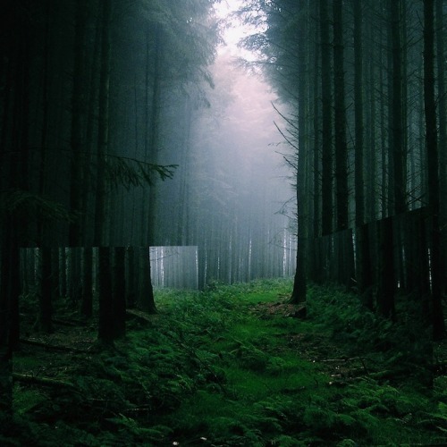 taktophoto:  Geometric Reflections in Landscapes Create Abstract Realities