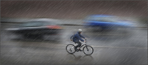 theabsintheconspiracy:  Biker Two Cars Rain by rogermccallum on Flickr.