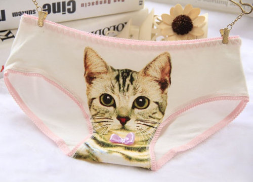 KItten Panties - $7.99