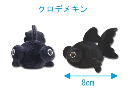 birdsagainsthumanity:theyshapedlikefriends:*hands you a tiny black moor goldfish friend*(x) @bunjywu