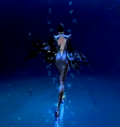 camalilium:  “Scarborough Fair” ❤️“Love is Blue” 💙