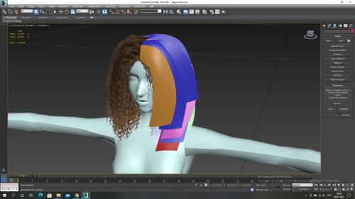 Just a WIPTexture isn’t mine, it derived from gramsims’s Jennifer hair. 16k polys.