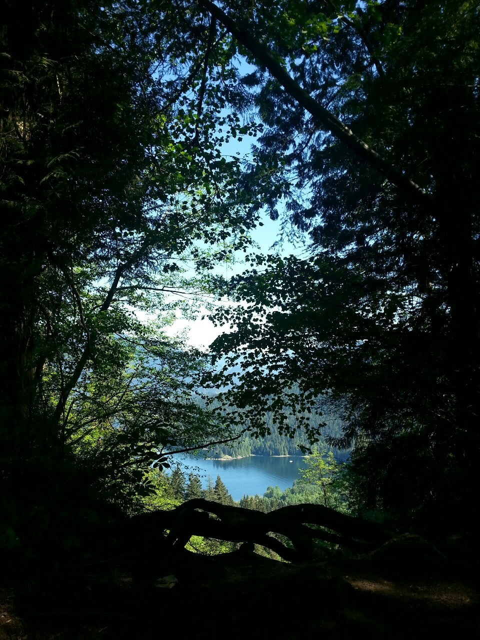 wanderestlest:  find me where the wild things are 