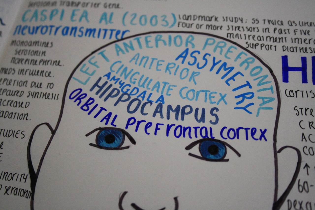 study-well:  I decided to make more graphic notes and mind maps. I think this is