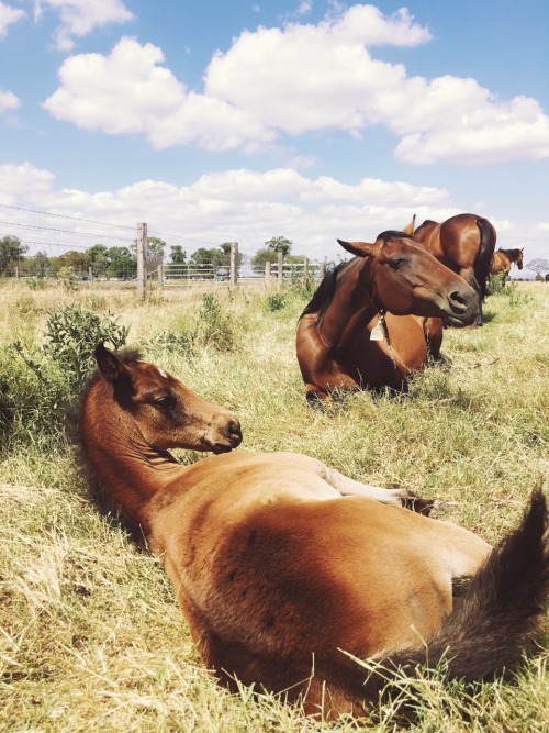 saisirlesjour: like momma, like daughter