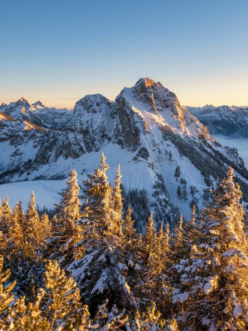 stumbleimg:Aggenstein, Allgäuer Alpen, Germany [OC] [4000x5333]