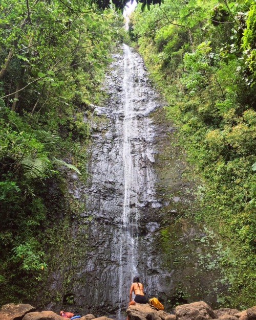 Manoa Falls Oahu, Hawaii