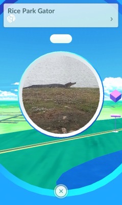 brightmoontrigon:  this pokespot near where