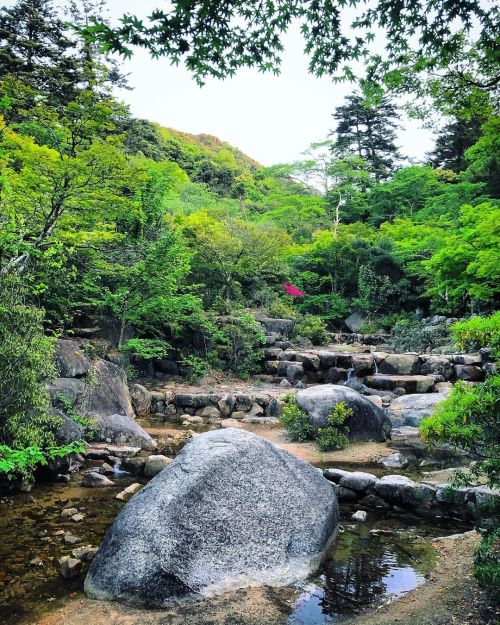 紅葉谷庭園砂防施設 [ 広島県・宮島 ] Momijidani River Park, Miyajima, Hiroshima の写真・記事を更新しました。 ーー #世界遺産 にも含まれる紅葉の名所約