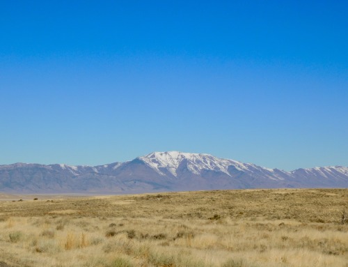 Horizontals XXIV - View From US 50 of Simpson Park Mountains, Eureka County, Nevada, 2020.