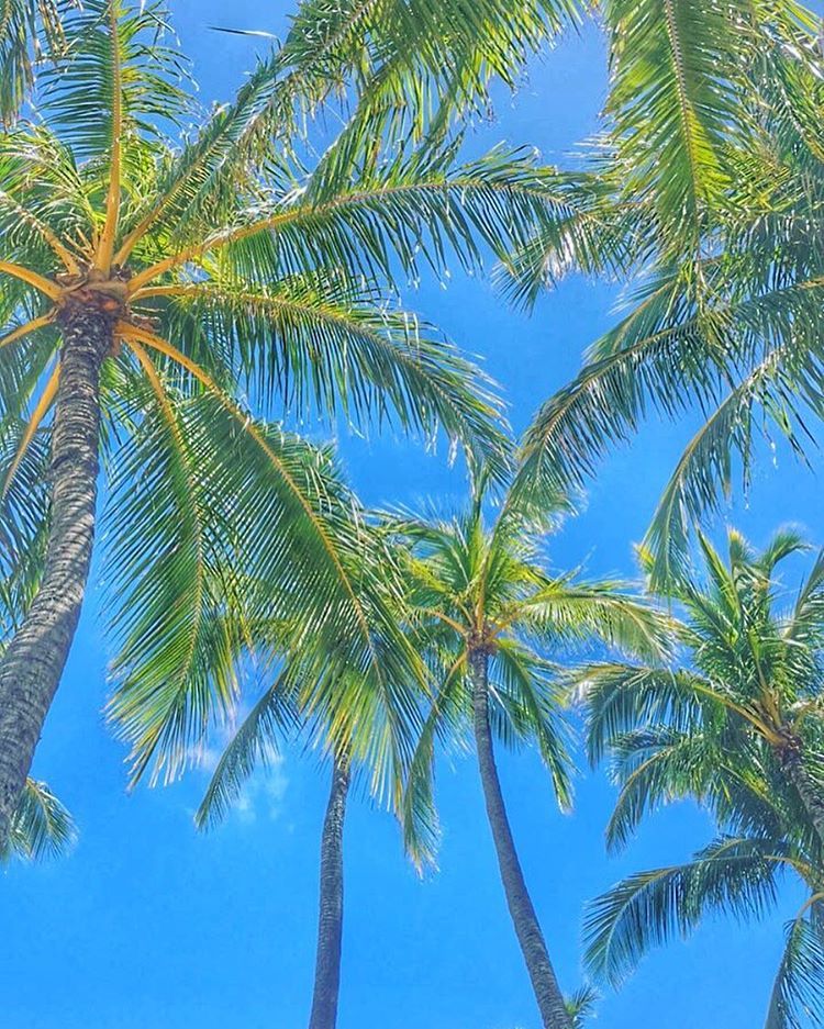 at Honolulu, Hawaii