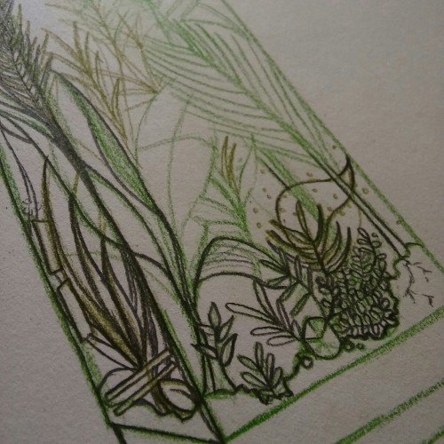 beautifullywastedspace: Doing a little style experimentation based on Twin Atlantic’s Vivarium