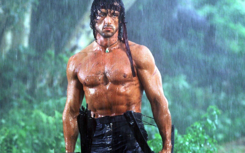 Request From @redviper321: Could You Write A Rambo X Reader, Where They Both Are Old Friends. {But Write