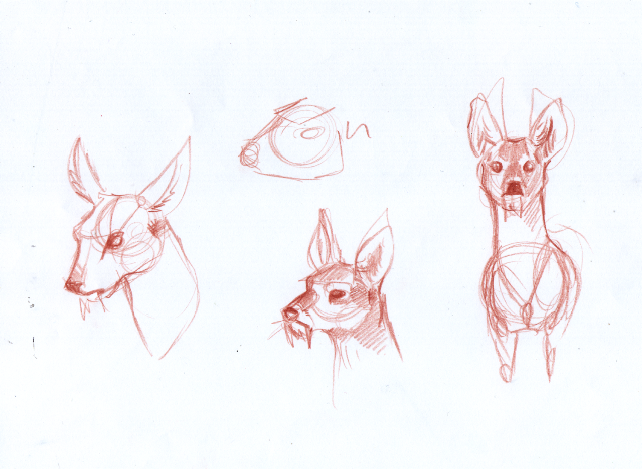 Some of the water deer studies I did today, plus wip of one of the final illustration.