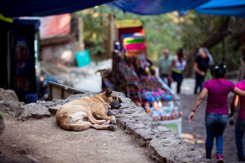 Tepoztlán, Mexicourban dreamscapes photographyalec mcclure