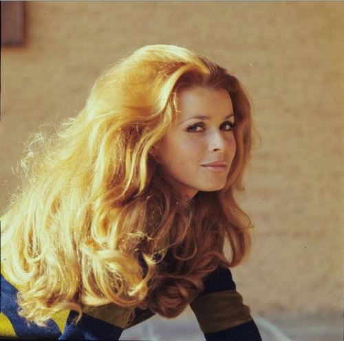 jeanjeanie61:  Senta Berger http://www.listal.com