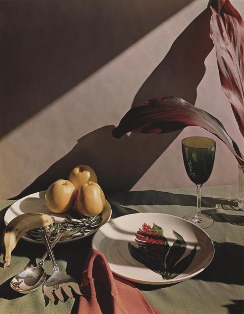 ce-sac-contient: Horst P. Horst - Still life, Oyster Bay, Long Island, 1950 Dye transfer print,