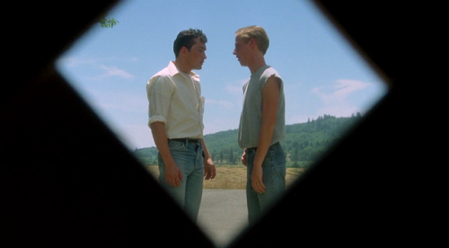 Stand By Me (1986)Director: Rob Reiner DOP: Thomas Del Ruth
