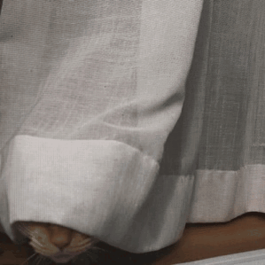 chikuwathecat:  chikuwathecat:Ghost: Trick or treat !Chikuwa: What do you want ?Ghost: