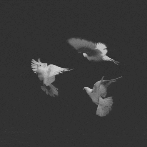 hein-eken:MAY PEACE BE WITH YOU AND YOUR BELOVED ONES