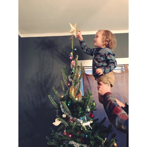 Ollie was so excited to help decorate the tree this year. He did such a good job putting ornaments o