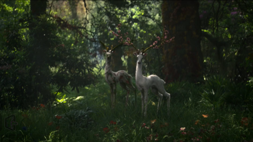 strangerstarsandlands: Deer in Film: Annihilation (2018) Stand by Me (1986) Bambi (19