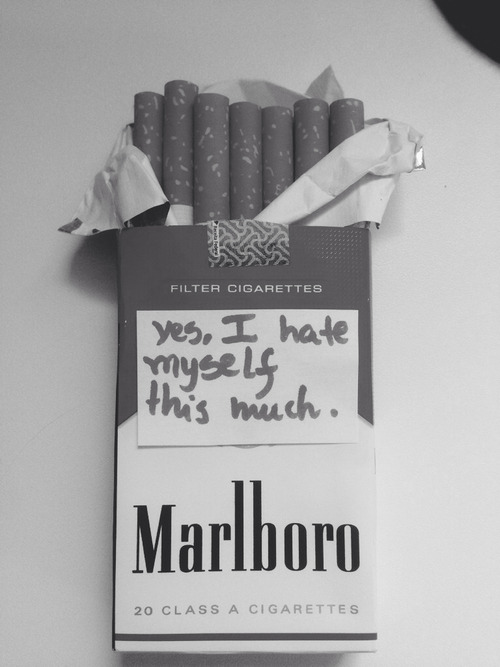 rollin' tropicals