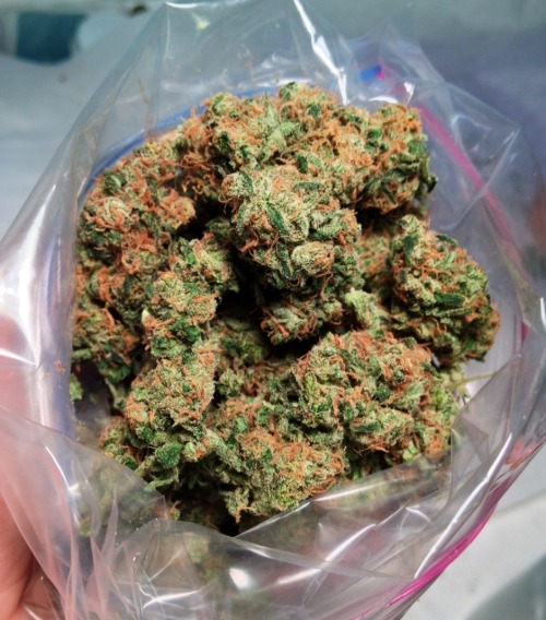 allysolickedyourmom: Everything’s better with a bag of weed! 