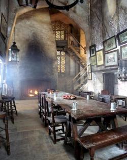 marjoleinhoekendijk:   The Leaky Cauldron